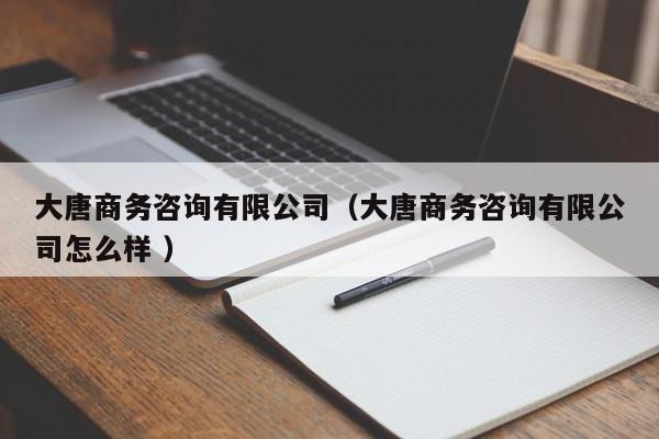大唐商務咨詢有限公司（大唐商務咨詢有限公司怎么樣 ）